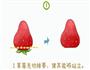 迎接浪漫冬季草莓小雪人的做法图解1