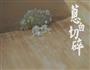 猪心汤-汤店的做法图解7