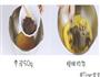 三红蛋糕的做法图解3