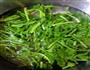 凉拌波菜的做法图解3