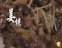 田七海马汤-汤店的做法图解12