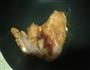 照烧鸡肉饭的做法图解3
