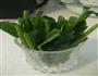 玉白菜水饺的做法图解1