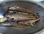 煎小黄鱼的做法图解2