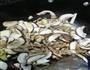 青椒肉丝的做法图解7