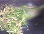 炒芹菜的做法图解2