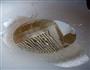 木耳小炒的做法图解9