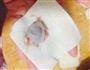 馄饨的做法图解9