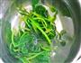 果仁菠菜的做法图解3