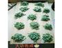 菠菜汁面条的做法图解6