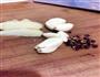 鸡翅烧蘑菇的做法图解1