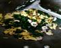 菠菜虾仁炒蛋的做法图解7