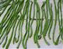菠菜汁手擀面的做法图解9