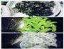 荷塘小炒的做法图解1