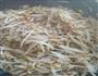豆芽炒莜面的做法图解3