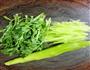 凉拌茼蒿菜的做法图解1