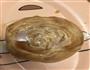 麻酱烧饼和椒盐烧饼的做法图解18
