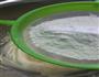 奶油芝士马芬的做法图解9