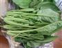芝麻菠菜的做法图解1
