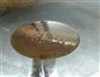 泡菜版烂肉碗豆的做法图解4