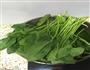 凉拌菠菜花生米的做法图解3