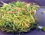 芹菜金针菇肉丝面的做法图解4
