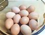 茶叶蛋鸡蛋做法南波旺的做法图解1