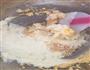 蔓越莓杏仁奶酥面包的做法图解7