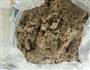 紫薯猪猪馒头+龙猫豆包的做法图解5