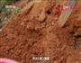 咸鸭蛋的做法图解1
