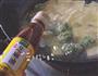 荠菜肉丸豆腐汤的做法图解8