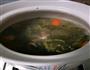西洋菜陈肾红萝卜瘦肉汤的做法图解3