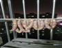 自制腊肠的做法图解3