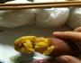 烤番薯的做法图解3