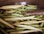 家常土豆条炖豆角的做法图解4
