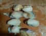 海螺肉炒白菜的做法图解1