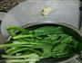 蒜蓉菜心的做法图解1