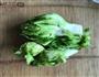 儿菜炒肉的做法图解1
