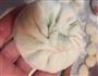 青菜鸡蛋虾皮包子的做法图解6