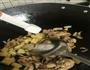 土豆鸡肉焖饭的做法图解14