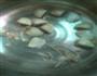 海鲜面的做法图解3