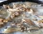 鸡肉炖土豆的做法图解1