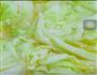 白菜炖大虾的做法图解7