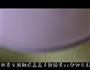 皮蛋瘦肉粥的做法图解2