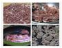 肉酱焗土豆泥的做法图解2