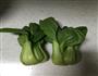 香菇鸡肉粥的做法图解3