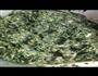 荠菜馄炖的做法图解2