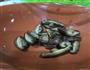 油菜豆腐汤的做法图解2
