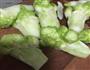 骨汤娃儿菜的做法图解4
