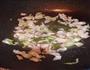 新手每日一菜-炒豆芽的做法图解5